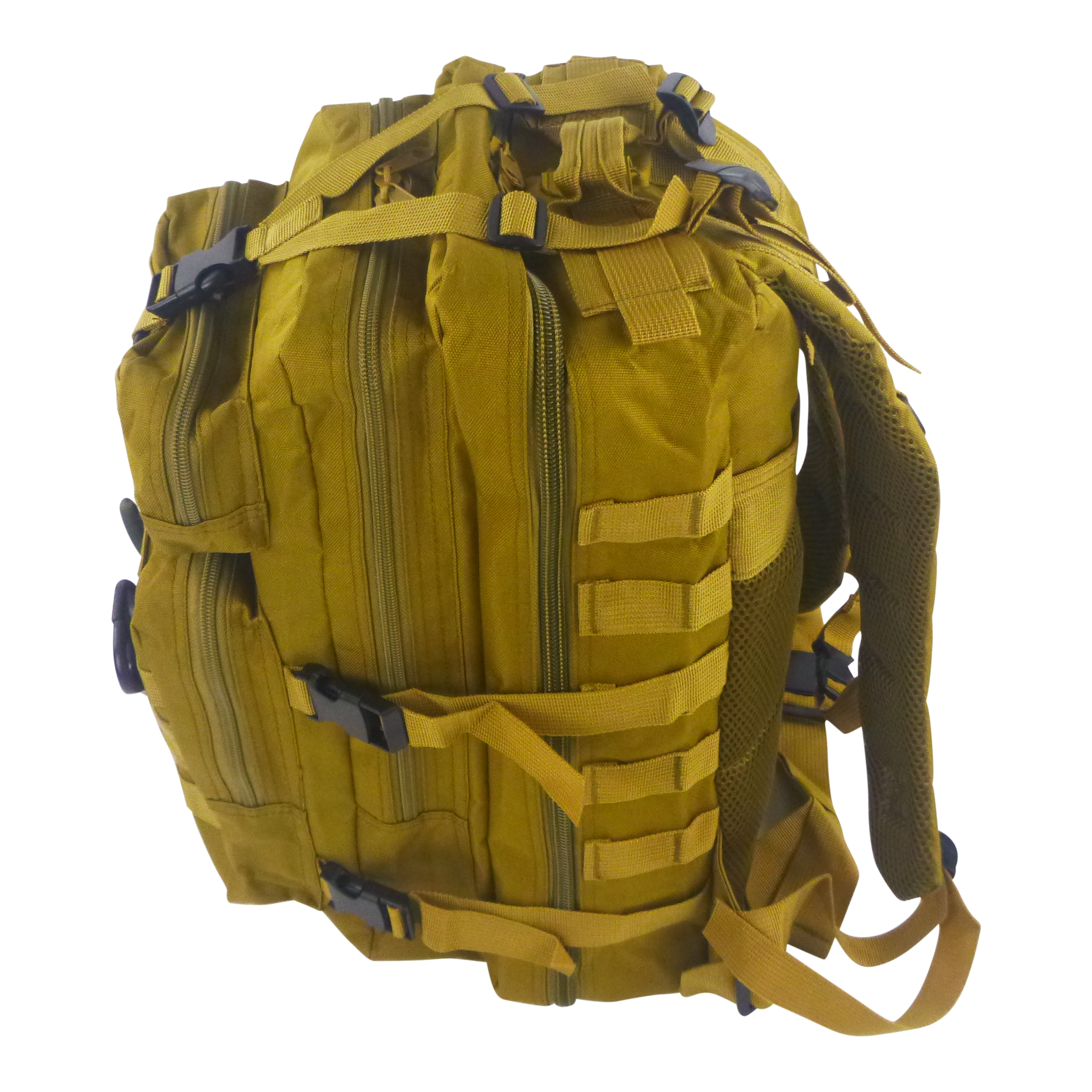 BSTC Fishers Back Pack, Tan